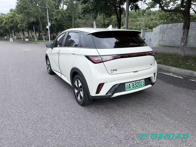 byd-dolphin-hatchback-design byd-dolphin-hatchback-design
