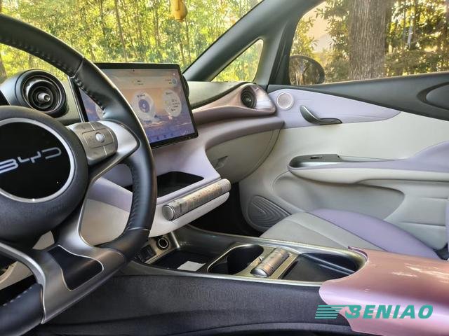 byd-dolphin-hatchback-design byd-dolphin-hatchback-design