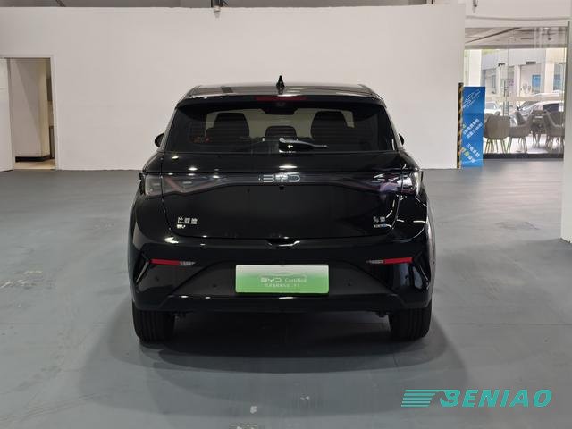 byd-dolphin-new-energy-vehicle byd-dolphin-new-energy-vehicle