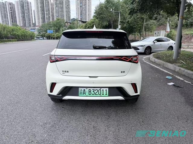 byd-dolphin-electric-vehicle-china byd-dolphin-electric-vehicle-china