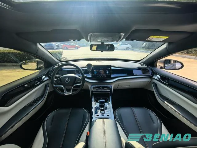 qin-plus-ev-leading-edition-2025 qin-plus-ev-leading-edition-2025