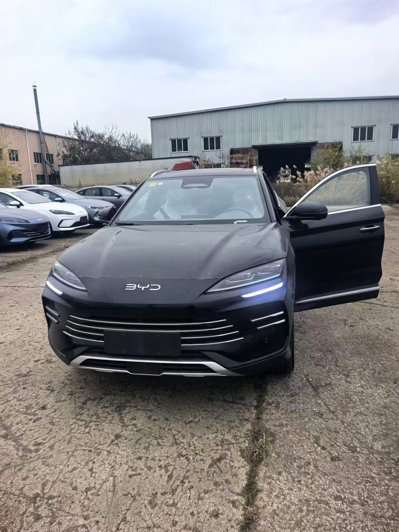 BYD's Game-Changing EVs Revealed