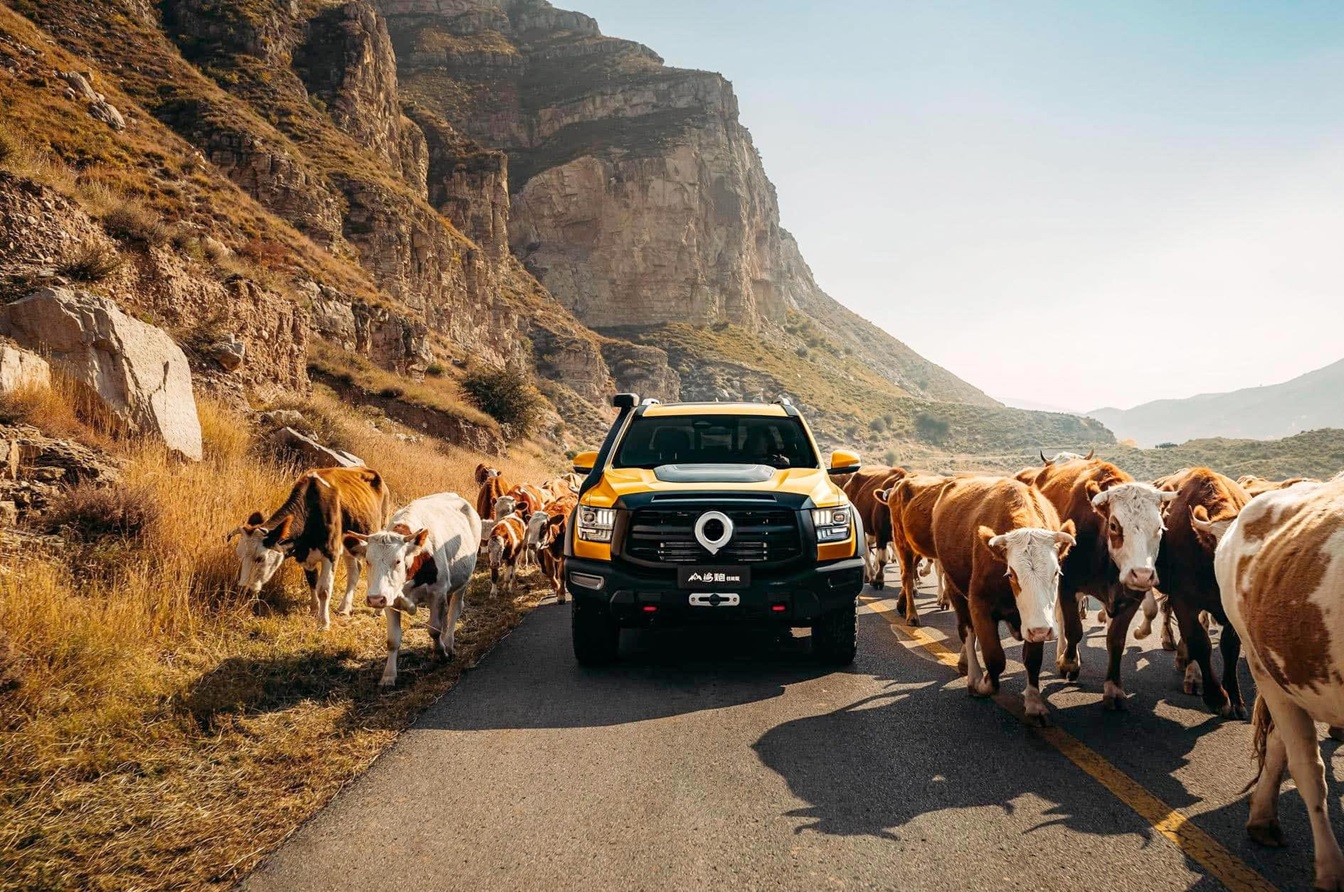 Competitive GWM POER Price