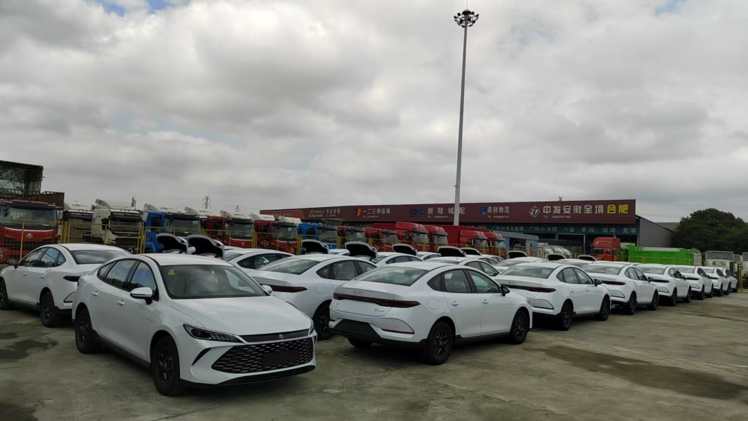 byd cars