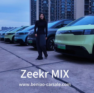 Zeekr Mix