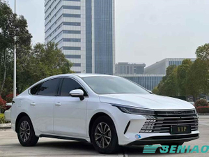 BYD Destroyer 05