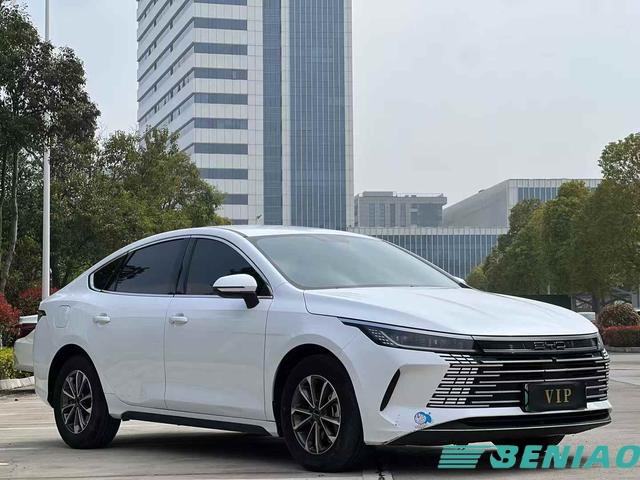 BYD Destroyer 05