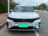 2025 Voyah Free 318 SUV