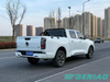 GWM Poer Commercial Truck