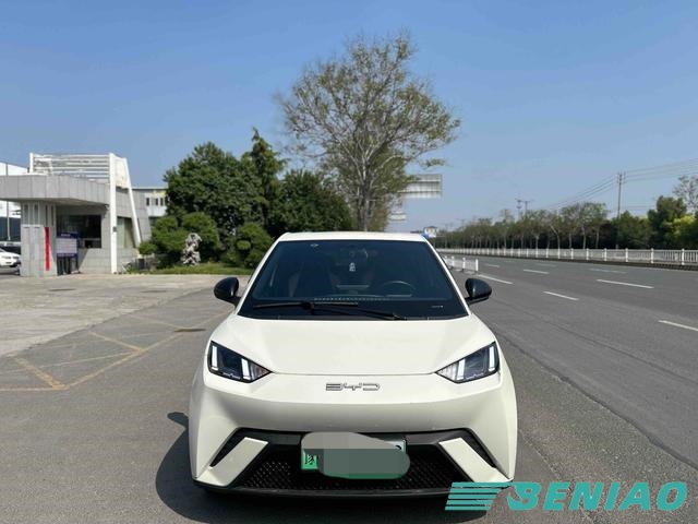 byd-seagull-rear-design