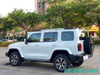 Tank 300 GWM Turbo Gasoline SUV
