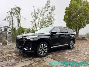 EXEED VX 2.0T AWD Star Premium 6-Seater Luxury SUV Vehicle