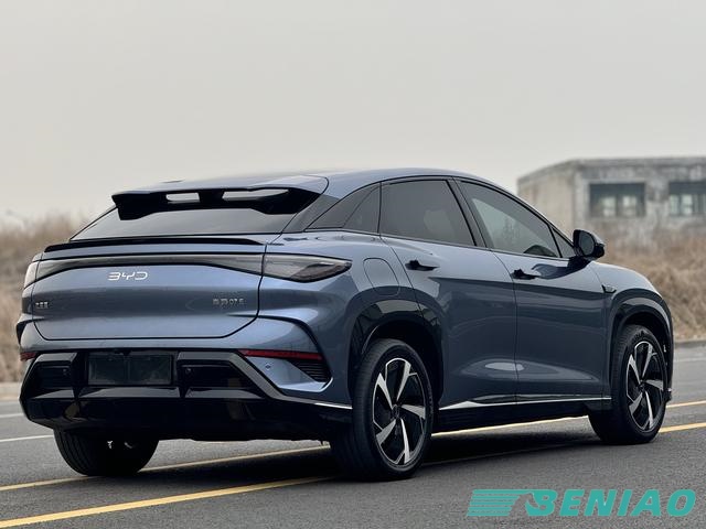 byd-sea-lion-07-side-profile