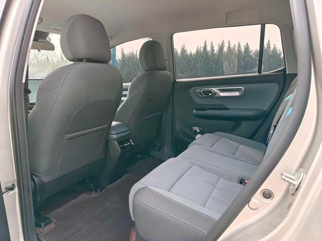 GAC Aion Y China dealer