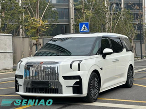 2024 Zeekr 009 All-Wheel Drive