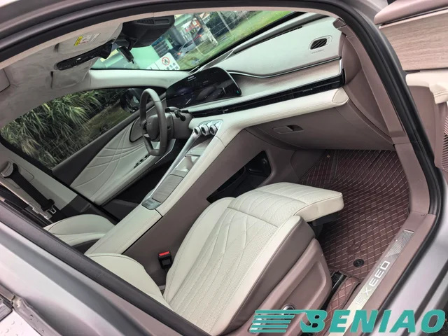 exeed-rx-c-dm-rear-view
