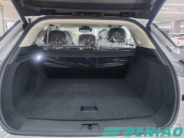 exeed-rx-c-dm-phev-side-profile