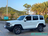 Tank 300 GWM Turbo Gasoline SUV