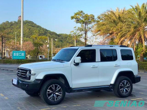 Tank 300 GWM Turbo Gasoline SUV