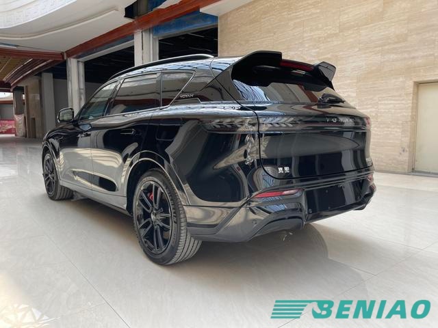 china-new-model-voyah-free-318-suv-rear-view-2025