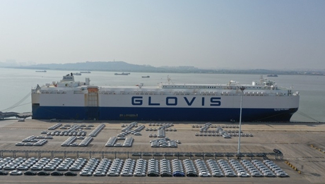 used car export company.jpg