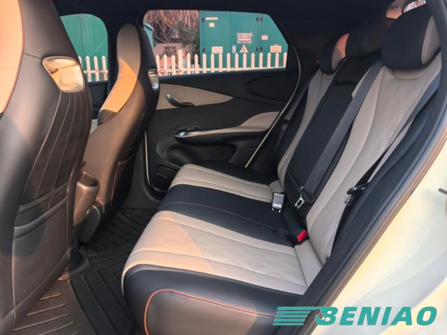 BYD Dolphin electric car export