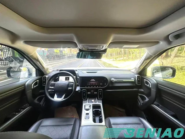 haval-dargo-rear-view