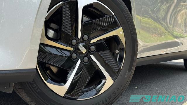 Hybrid sedan from China