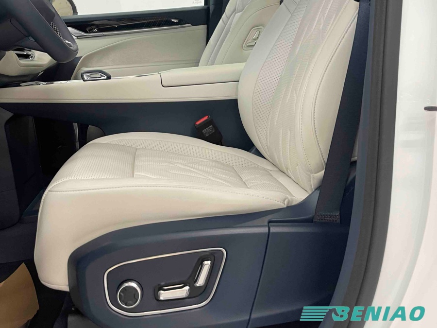 Business electric van