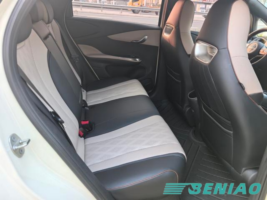 byd dolphin 2026 sales units 2023