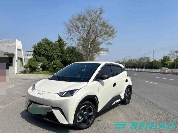 BYD Seagull EV Compact Car