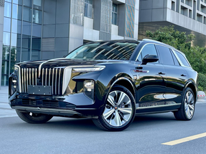 Hongqi E-HS9