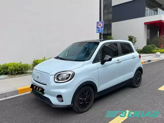 Leapmotor T03 2023 403 Smart Long Range Electric Hatchback Vehicle