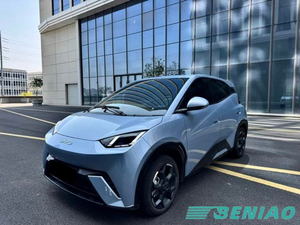 BYD Seagull 2025 305KM Freedom Edition