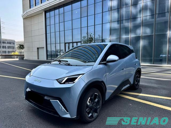 BYD Seagull 2025 305KM Freedom Edition