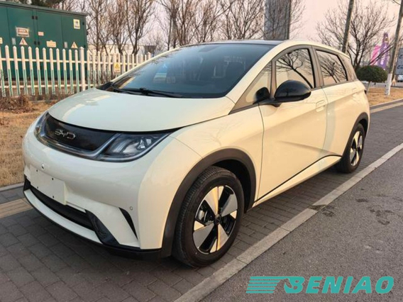 BYD Dolphin 2024 420km Fashion – Smart Urban Electric Car